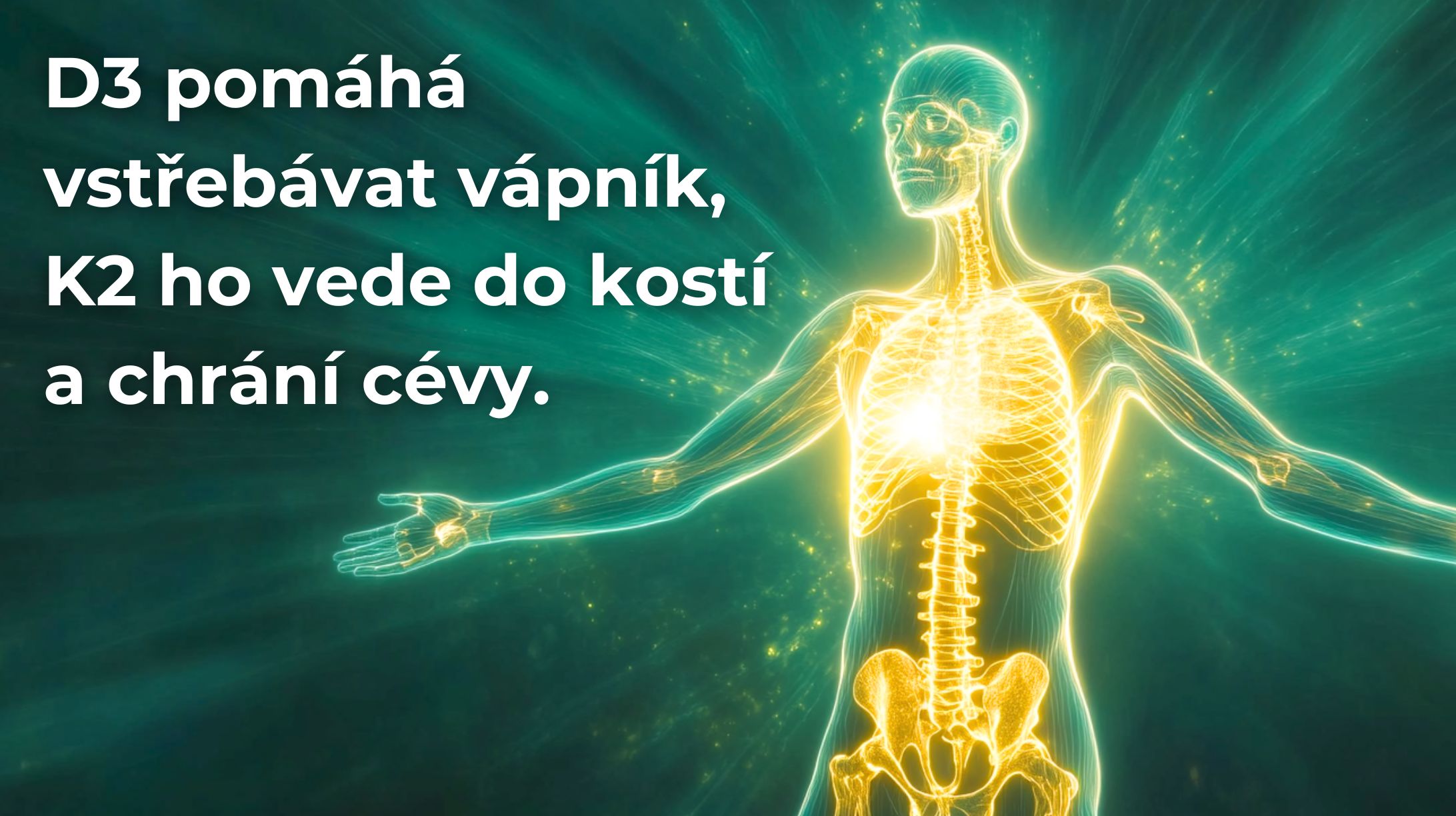 PREMIUM Liposomální Vitamín D3 + K2 MK-7, 2000 IU + 75 mcg, 90 kapslí -3